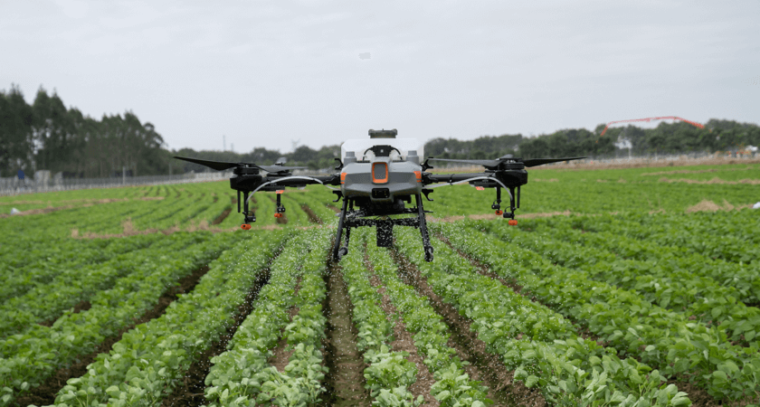 Drones in Agriculture