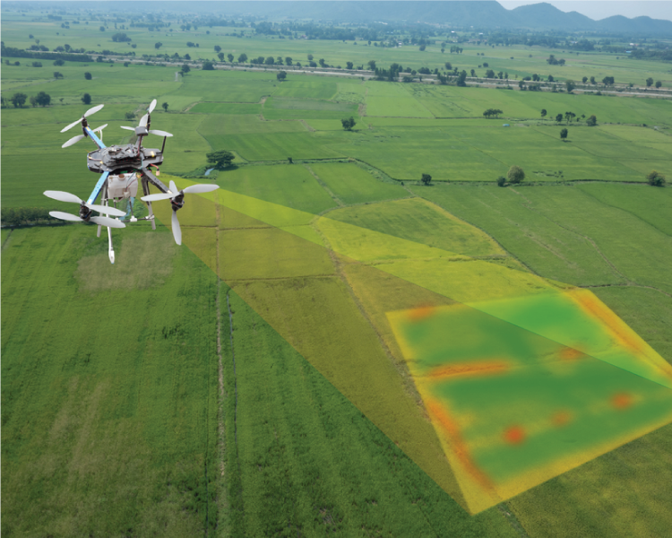 Commercial Drones